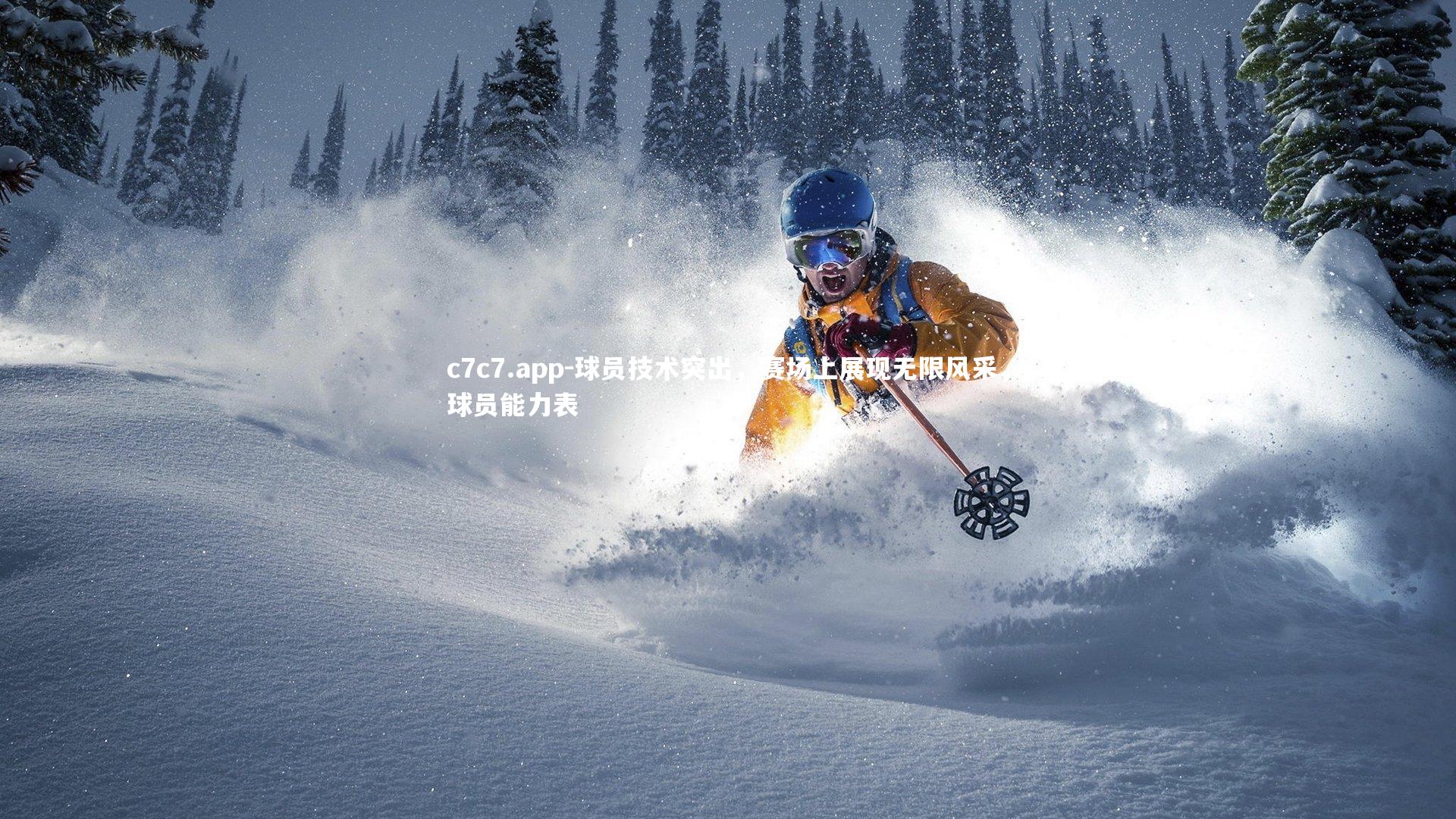 c7c7.app-球员技术突出，赛场上展现无限风采，球员能力表